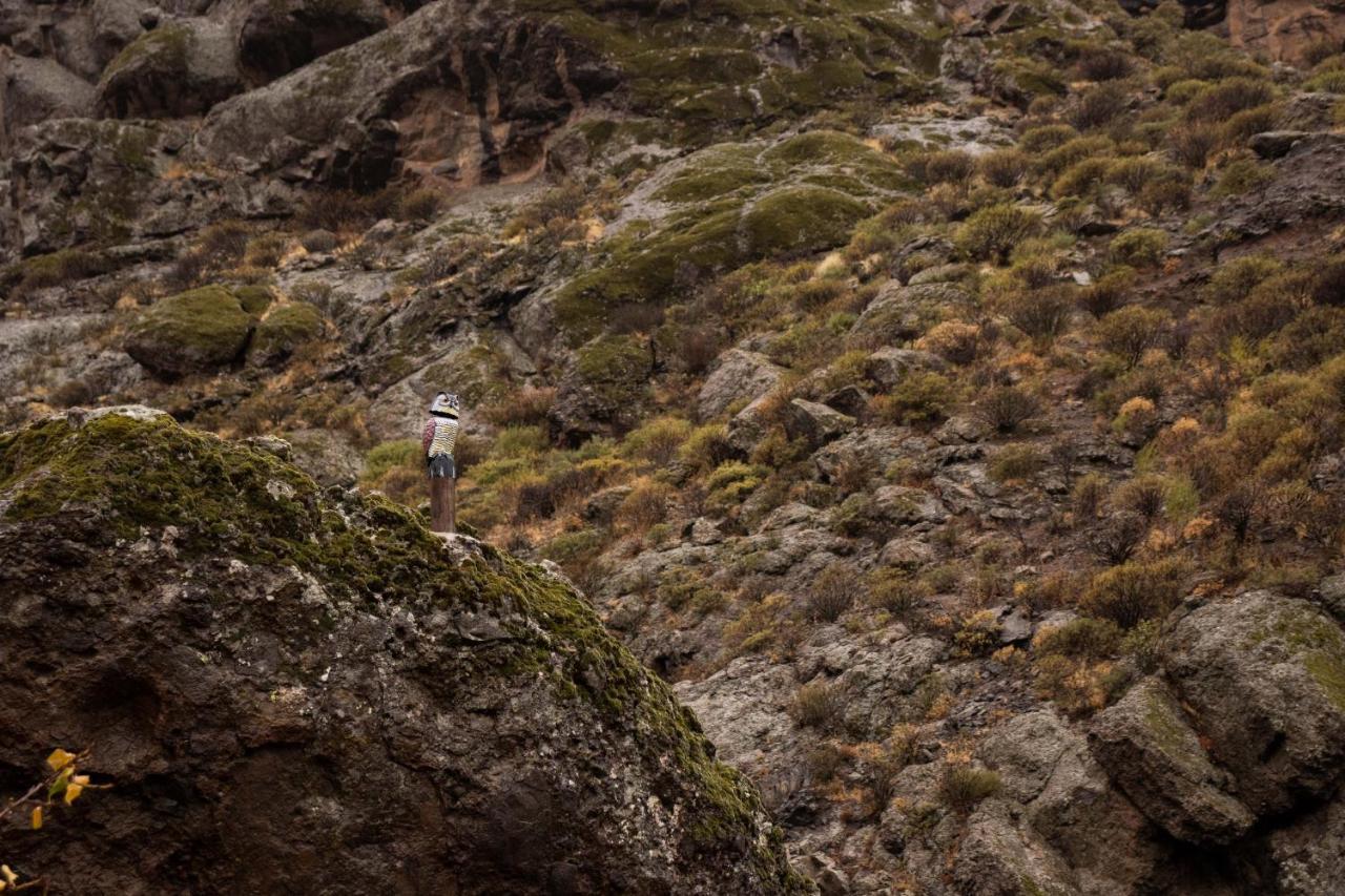 La Vuelta Del Amo Villa Las Palmas de Gran Canaria Bagian luar foto