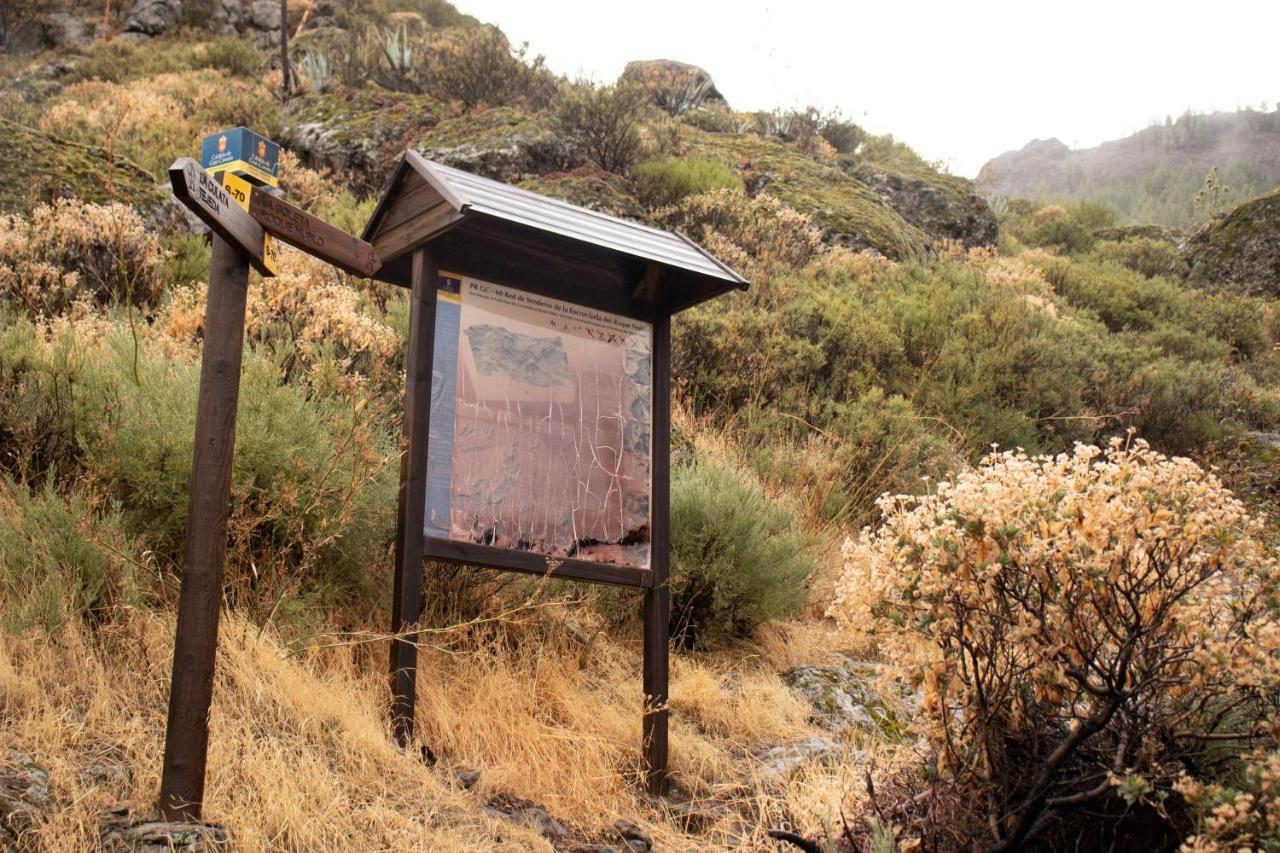 La Vuelta Del Amo Villa Las Palmas de Gran Canaria Bagian luar foto